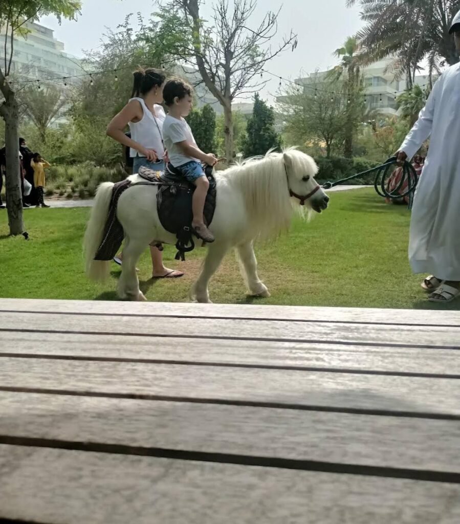 Pony Rent Pony Rental for Kids Events in Dubai | Al Tilal Pony Rental